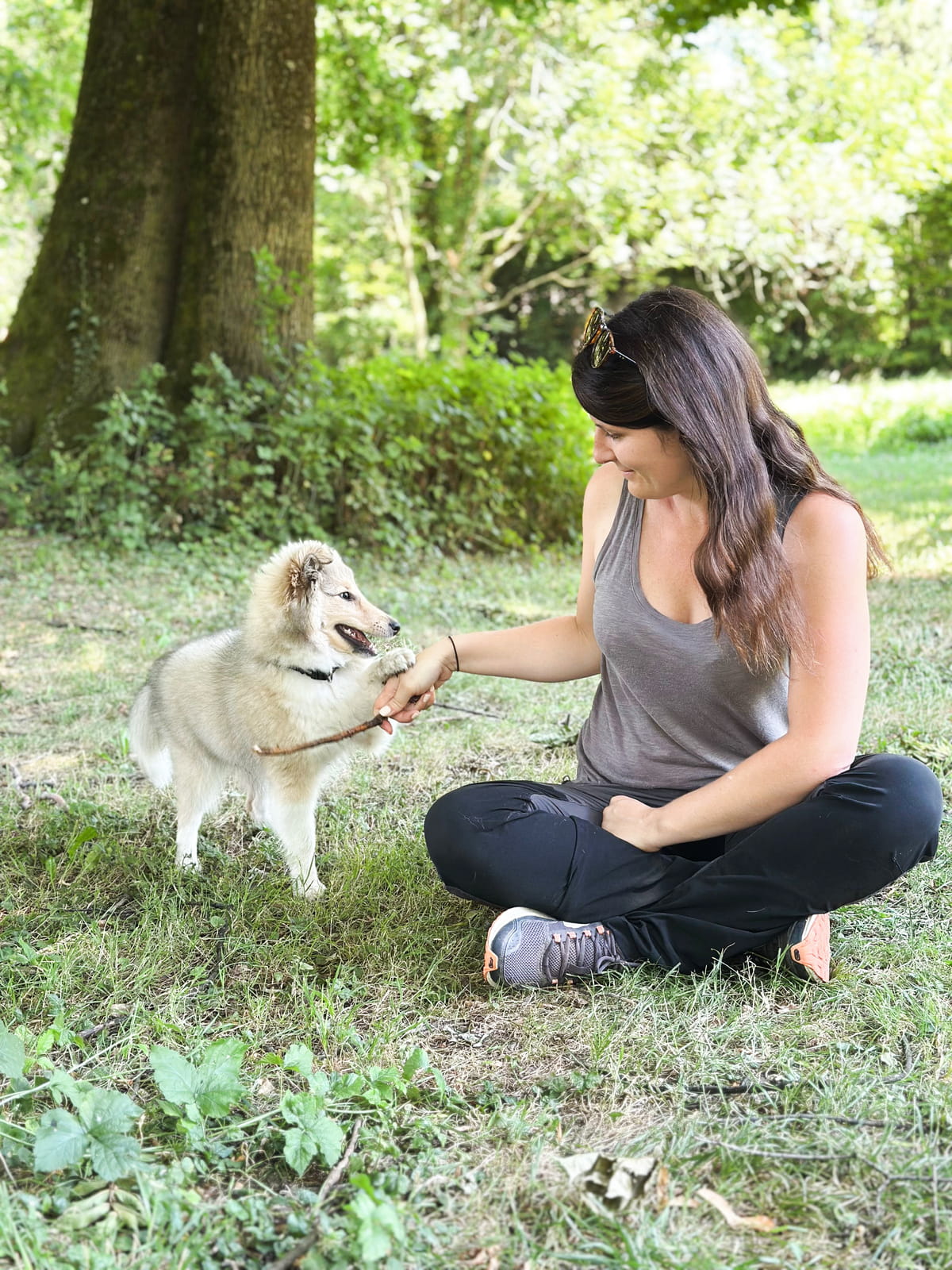 comportementaliste felin grenoble